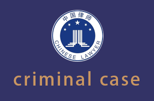 criminal case