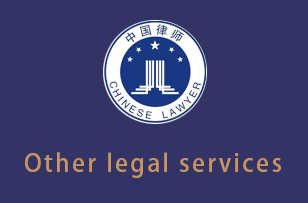 Other legal services