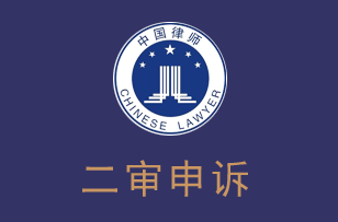 二审申诉律师服务