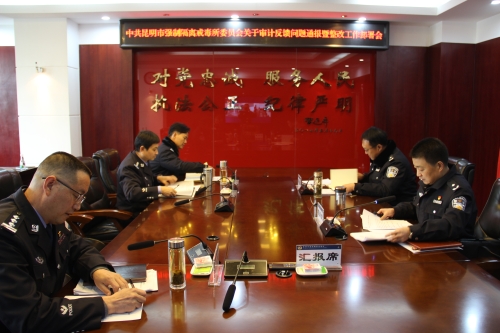 强化审计监督 抓好问题整改